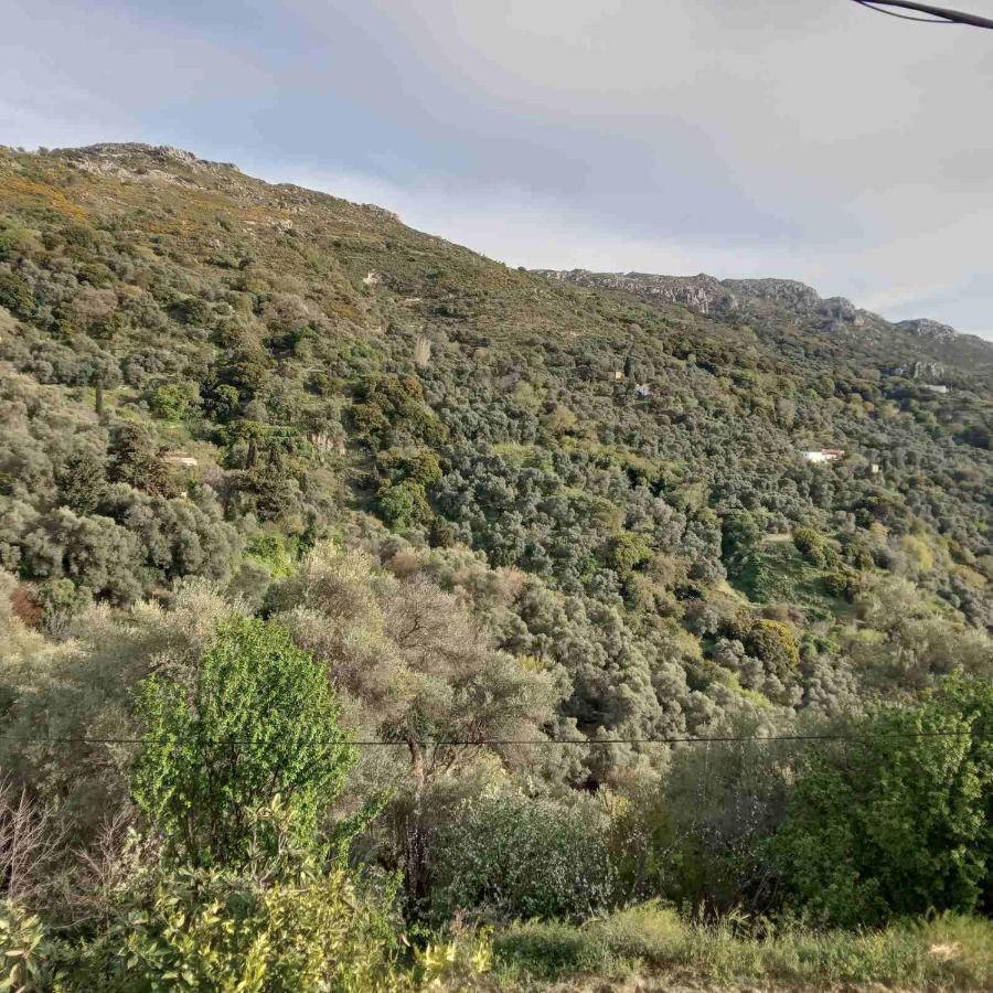 Villa Koomas - Kakodiki Paleochora Avdhouliana Exteriör bild